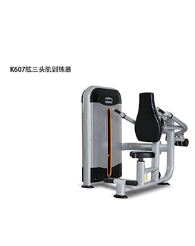 向日葵视频污版下载 肱三頭肌訓練器 K607